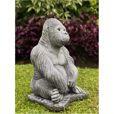 Gorilla Affe